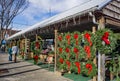Christmas Time at the Salem Farmers Market 2017 -3